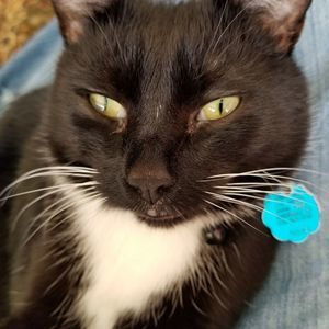 Meet your Posher, Tonya